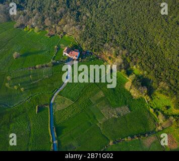 Veduta aerea della campagna e della foresta di querce cantabriche nella Valle di Liendo, Liendo, Mar Cantabrico, Cantabria, Spagna, Europa Foto Stock