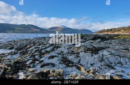 Guardando verso Loch Long da Cove, Argyll & Bute, Scozia Foto Stock