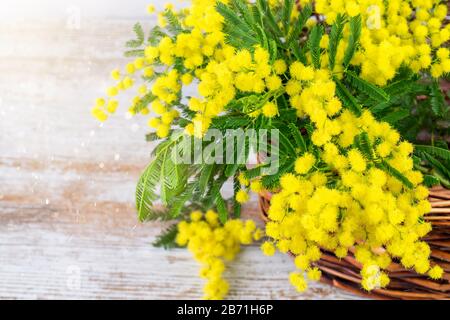 Grappoli di soffice mimosa primavera tenera nel cesto di vimini su sfondo naturale in legno, bella bokeh dorata. Bel biglietto d'auguri per la mamma o. Foto Stock
