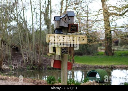 Bug hotel e bird houses, Droitwich Spa, Worcestershire Inghilterra Regno Unito. 07/03/2020 bug hotel e case di uccelli, insetto casa, è una struttura crea made Foto Stock