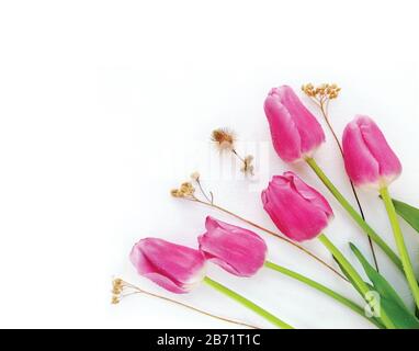 Cornice di cinque tulipani rosa e fiori secchi, gocce di rugiada o acqua di sorgente su fiore su tessuto bianco, sfondo tela. Composizione floreale, poster per r Foto Stock