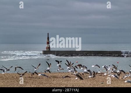 Frangiflutti e faro in una giornata nuvolosa di Aguda Beach, Miramar, Arcozelos città Foto Stock