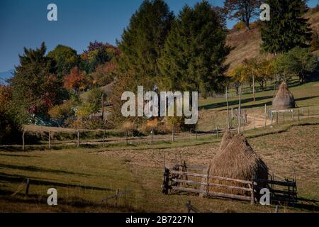 Maramures, la regione isolata dei Carpazi della Romania, è natura per segnare i ritmi della vita e tutto è ancora legato alla terra. Paesaggio con h Foto Stock