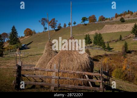 Maramures, la regione isolata dei Carpazi della Romania, è natura per segnare i ritmi della vita e tutto è ancora legato alla terra. Paesaggio con h Foto Stock