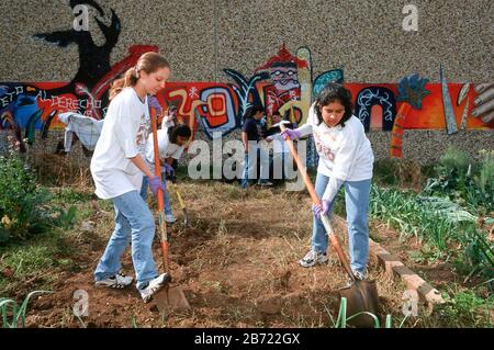 Austin, Texas USA, febbraio 2000: Studenti universitari volontari per 'Project 2000', barrio pulizia-up & beautification sforzo. ©Bob Daemmrich Foto Stock