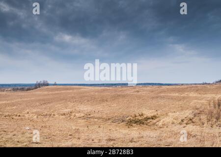 Bellissimo cielo blu e verde erba gialla. Foto Stock