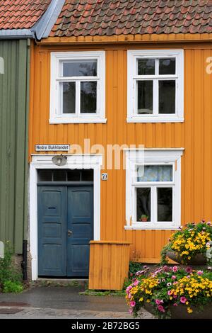 Distretto Mollenberg, città di Trondheim, il Trondelag County, Norvegia Foto Stock
