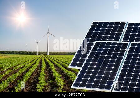 Collage fotografico di pannelli solari contro lo sfondo dei raccolti - immagine concettuale Foto Stock