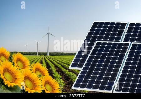 Collage fotografico di pannelli solari contro lo sfondo dei raccolti - immagine concettuale Foto Stock