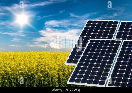 Collage fotografico di pannelli solari contro lo sfondo dei raccolti - immagine concettuale Foto Stock