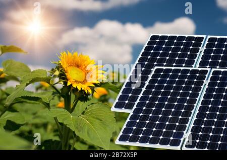 Collage fotografico di pannelli solari contro lo sfondo dei raccolti - immagine concettuale Foto Stock