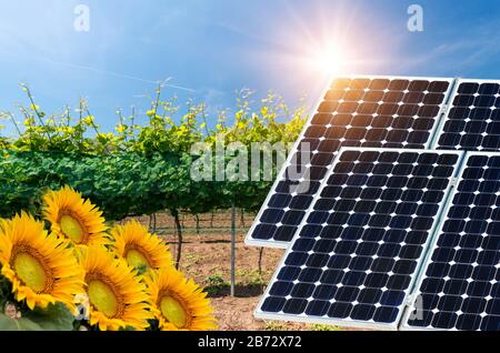 Collage fotografico di pannelli solari contro lo sfondo dei raccolti - immagine concettuale Foto Stock
