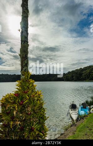 Vista di due kayaks vuoti in gattonata sul litorale del Lago Barrine sulle terre di Atherton Tablelands, nell'Estremo Nord Queensland, Australia. Foto Stock