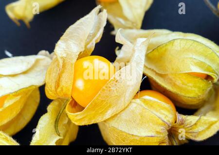 Physalis Fruits Physalis peruviana . Golden berry, Cape gooseberry. Vista dall'alto. Foto Stock