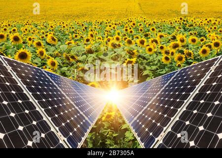 Collage fotografico di pannelli solari contro lo sfondo dei raccolti - immagine concettuale Foto Stock
