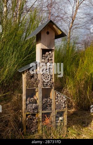 Casella di insetto Bug house Foto Stock