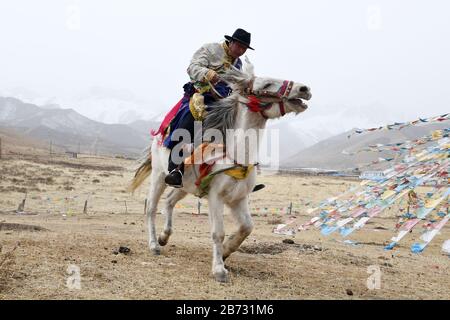 (200313) -- TIANZHU, 13 marzo 2020 (Xinhua) -- Song Tianzhu cavalca un cavallo per allevare le sue pecore nel villaggio di Nannigou della contea autonoma tibetana di Tianzhu, provincia di Gansu della Cina nordoccidentale, 12 marzo 2020. Sfruttando appieno le vaste praterie locali e il sostegno finanziario del governo alle regioni impoverite, il reddito familiare annuale della famiglia di Song Tianzhu ha raggiunto 200,000 yuan (circa 28,553 dollari USA) attraverso l'allevamento e il turismo. Inoltre, Song ha preso la guida nella fondazione di una cooperativa per aumentare i redditi di altri abitanti del villaggio. Con i grandi sforzi compiuti dal governo locale Foto Stock