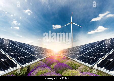 Collage fotografico di pannelli solari contro lo sfondo dei raccolti - immagine concettuale Foto Stock