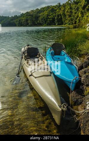 Vista di due kayaks vuoti in gattonata sul litorale del Lago Barrine sulle terre di Atherton Tablelands, nell'Estremo Nord Queensland, Australia. Foto Stock