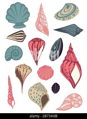 Grande collezione di conchiglie tropicali colorate e diverse illustrazioni vettoriali piatte su sfondo bianco. Illustrazione Vettoriale