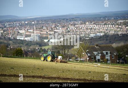 Brighton UK 13 Marzo 2020 - Seagulls seguire dietro un trattore in una mattinata luminosa ma fredda come un agricoltore arows un campo sul South Downs appena fuori Brighton. Credit: Simon Dack / Alamy Live News Foto Stock