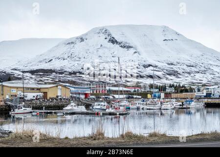 Imbarcazioni da diporto ormeggiate nel porticciolo di Ólafsfjörður nel nord-est dell'Islanda Foto Stock
