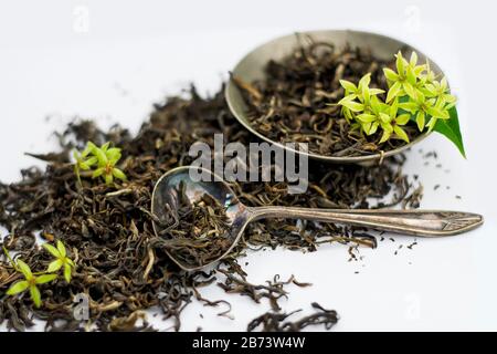 Erbe da tè verdi asciutte con fiori di gelsomino, piatto d'argento vintage e cucchiaio su sfondo bianco. Foto Stock