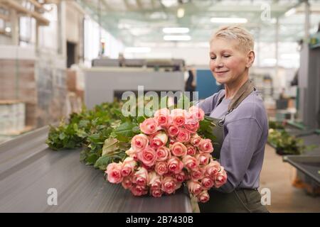 Donna matura con i capelli corti che prepara le rose giovani fresche per la vendita che li raccoglie in mazzi Foto Stock