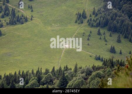 Prati verdi e pinete sulle pendici delle montagne, Slovacchia Foto Stock