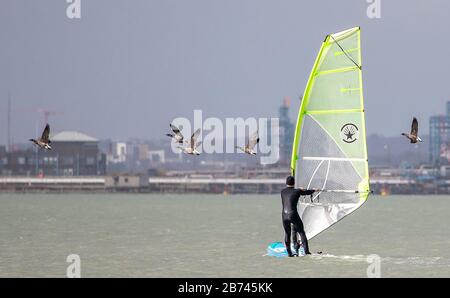 Calshot, Southampton. Venerdì 13 Marzo 2020 Regno Unito Meteo. Un gaggle di Brent Geese unirsi a un windsurf al largo di Calshot Beach, in un pomeriggio soleggiato ventoso, con raffiche fino a 21 miglia all'ora. Credit Stuart Martin/Alamy Live News Foto Stock