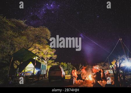 Foto ad angolo basso di un gruppo di amici in campeggio una foresta e fare un falò sotto un cielo stellato Foto Stock