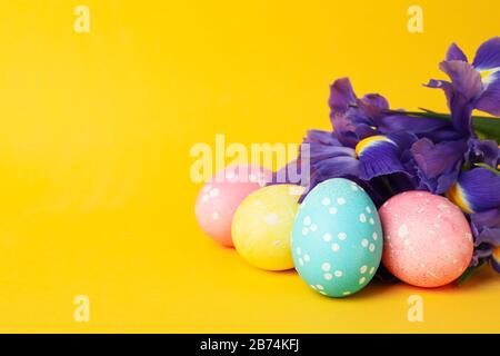 Uova di Pasqua e fiori di iride su sfondo giallo, spazio per il testo Foto Stock