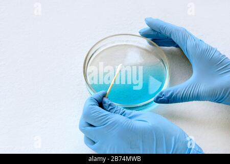 chemist al blu si illuminano in laboratorio. test con lastra di vetro, liquido blu e campionatore sulle sue mani. virus e concetto di salute Foto Stock