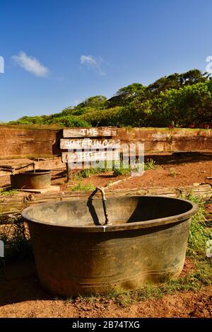 Cartello "The Watering Hole" e grande secchio d'acqua per cavalli vicino recinto e Corral, stalla, a 900 acri di gunstock Ranch, Oahu Island, Laie, Hawaii, USA Foto Stock