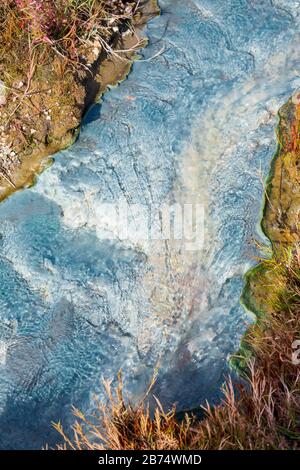 Flusso caldo closeup di batteri verdi blu colore piante in acqua Foto Stock