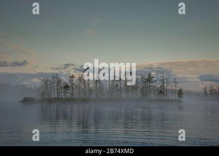 Sunrise a foggy palude con piccoli alberi morti coperto di mattina presto. Foto Stock