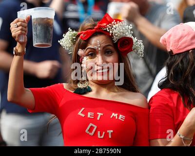 I fan partecipano alla HSBC World Rugby Sevens Series il giorno 3 all'Hong Kong Stadium. Foto Stock