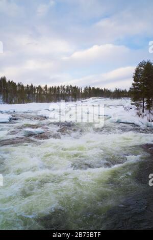 Storforsen, un rapido nel fiume Pite in svedese Norrbottens län. Con un flusso medio di 250 m3/s, le rapide sono una delle più grandi d'Europa Foto Stock