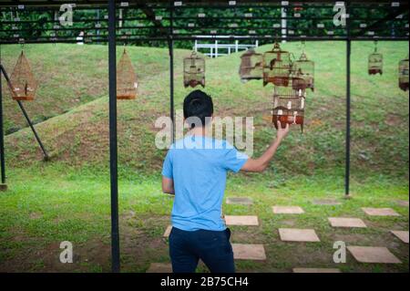 02.12.2018, Singapore, Repubblica di Singapore, Asia - UN giovane amante degli uccelli appende uno dei suoi birdgages al Kebun Baru Bird Corner in Ang Mo Kio Town Garden West. [traduzione automatica] Foto Stock