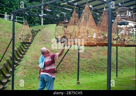 02.12.2018, Singapore, Repubblica di Singapore, Asia - un anziano amante degli uccelli appende uno dei suoi uccelli al Kebun Baru Bird Corner in Ang Mo Kio Town Garden West. [traduzione automatica] Foto Stock