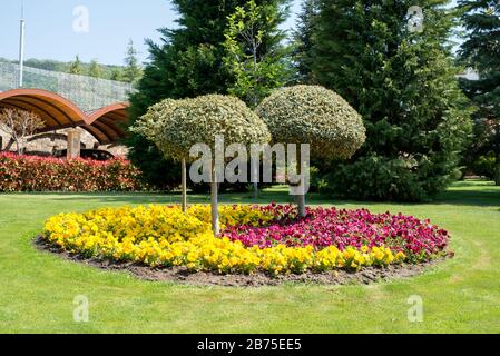 Vista su un cortile attraente con fiori in fiore, conifere e prati ben tenuti - vista grandangolare Foto Stock