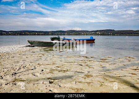 Dopo un'estate con poca pioggia, il livello dell'acqua sulla riva dell'isola di Reichenau sul lago di Costanza è sceso, il 18.09.2018. [traduzione automatica] Foto Stock
