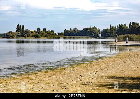 Dopo un'estate con poca pioggia, il livello dell'acqua sulla riva dell'isola di Reichenau sul lago di Costanza è sceso, il 18.09.2018. [traduzione automatica] Foto Stock