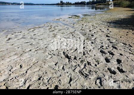 Dopo un'estate con poca pioggia, il livello dell'acqua sulla riva dell'isola di Reichenau sul lago di Costanza è sceso, il 18.09.2018. [traduzione automatica] Foto Stock