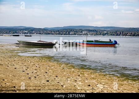 Dopo un'estate con poca pioggia, il livello dell'acqua sulla riva dell'isola di Reichenau sul lago di Costanza è sceso, il 18.09.2018. [traduzione automatica] Foto Stock