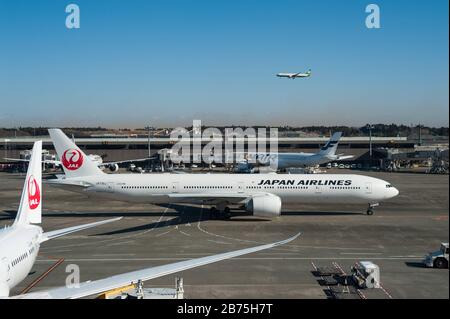 03.01.2018, Tokyo, Giappone, Asia - aereo passeggeri Japan Airlines all'aeroporto internazionale Tokyo-Narita. [traduzione automatica] Foto Stock