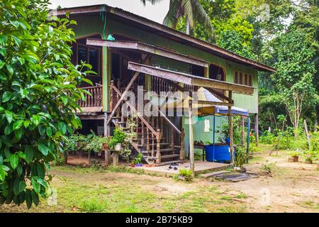 Casa tradizionale e comune a palafitte utilizzata dagli abitanti della foresta pluviale in Borneo, Malesia, Asia Foto Stock