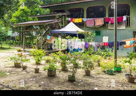 Casa tradizionale e comune a palafitte utilizzata dagli abitanti della foresta pluviale in Borneo, Malesia, Asia Foto Stock