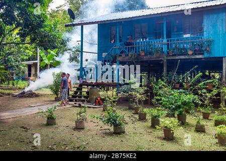 Casa tradizionale e comune a palafitte utilizzata dagli abitanti della foresta pluviale in Borneo, Malesia, Asia Foto Stock