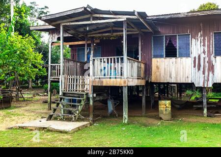 Casa tradizionale e comune a palafitte utilizzata dagli abitanti della foresta pluviale in Borneo, Malesia, Asia Foto Stock